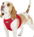 rabbitgoo Step-in Small Dog Harness, Puppy Vest by rabbitgoo
