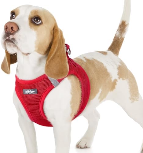 rabbitgoo Step-in Small Dog Harness, Puppy Vest by rabbitgoo