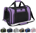 Large Pet Carrier for Cats and Small Dogs, Soft-Sided Travel Carrier by Unknown