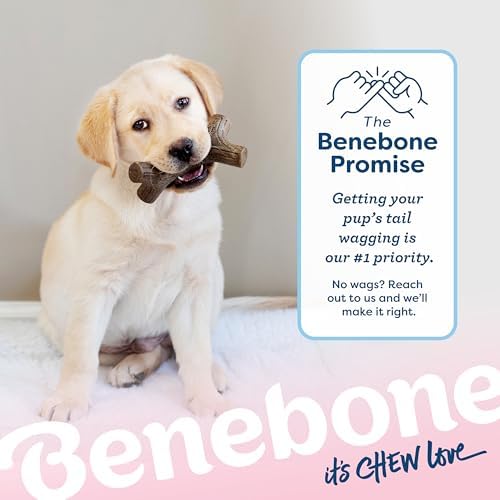 Benebone Puppy Maplestick Dog Chew Toy, Real Maple Wood - Image 6