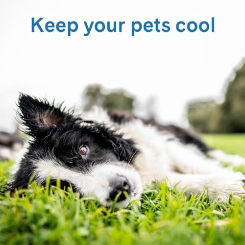 The Green Pet Shop Cool Pet Pad - Image 3
