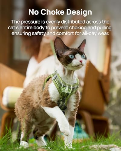 PetThem Upgraded Cat Harness and Leash Set - Image 5