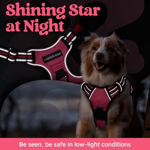 rabbitgoo Dog Harness Medium Sized, No Pull 3 Buckles Easy On & Off - Image 6
