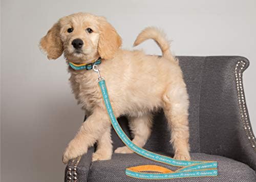 Pets First NFL Licensed Miami Dolphins Pet Leash, Size Small– Durable Satin Dog - Image 3