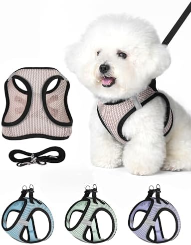 Dog Harness Small Sized and Leash Set, Step in Soft Light Puppy Vest, by Unknown