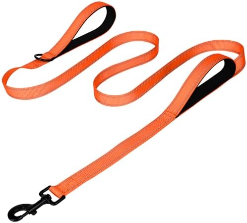 Joytale Dog Leash for Large Dogs that Pull, Double Handle by Joytale