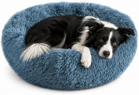 Whiskers & Friends Round Dog Beds by WhiskersFriends