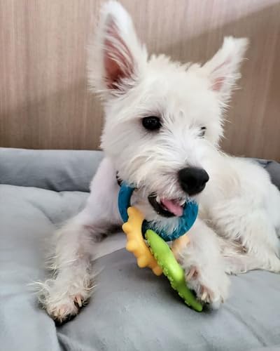 Nylabone Puppy Chew Toy & Treat Bundle - Image 5