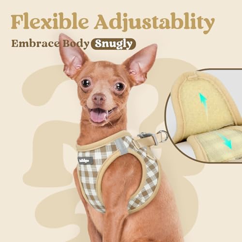 rabbitgoo Step-in Small Dog Harness, Puppy Vest - Image 6