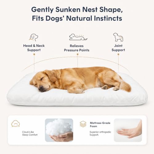 Magic Dog Orthopedic Medium Dog Bed 32 Inch, Super Soft Small Pet Bed - Image 5