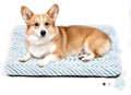 Mora Pets Dog Crate Pad Washable Puppy Dog Bed by MoraPets