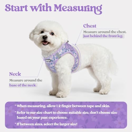 rabbitgoo Dog Harness Small Sized and Leash Set, Step-in Puppy Pet Vest - Image 2