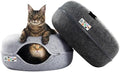 Cattasaurus Peekaboo Cat Cave Donut by Cattasaurus