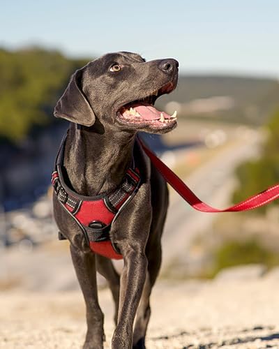 Joytale No Pull Dog Harness for Extra Large Dogs, Front Clip - Image 6