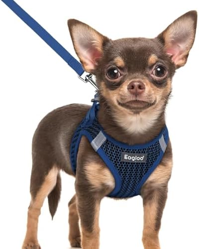 Eagloo Small Dog Harness and Leash Set, Step in Extra Small Puppy Pet Vest by GoExplorewithEagloo
