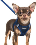 Eagloo Small Dog Harness and Leash Set, Step in Extra Small Puppy Pet Vest by GoExplorewithEagloo