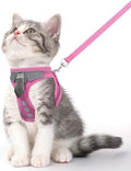 Cat Harness and Leash Set for Walking Escape Proof Vest for Kitten by NCMAMA