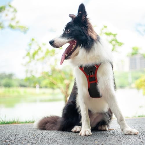 PHOEPET Upgraded No Pull Dog Harness, Reflective Adjustable Vest - Image 3