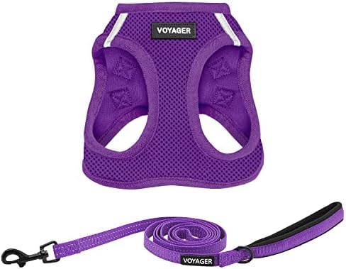 Best Pet Supplies Voyager Step-in Air All Weather Mesh Harness and Reflective by BestPetSuppliesLLC