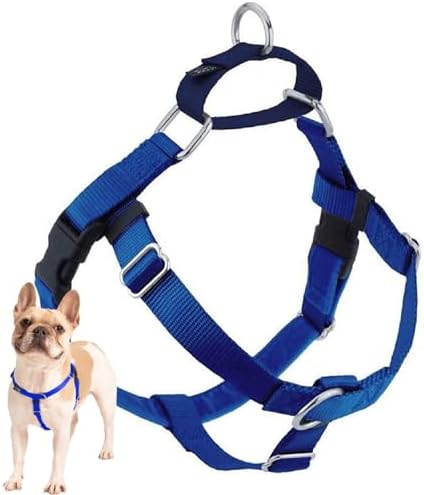 2 Hounds Design Freedom No Pull Dog Harness, 5/8 inch MD, Royal Blue by 2HoundsDesign