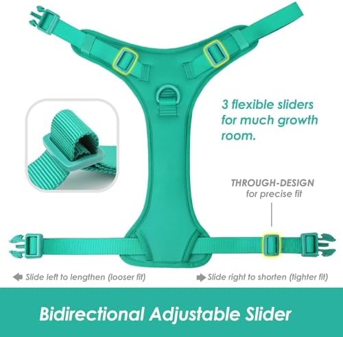 Sunraymascota No Pull Dog Harness - Image 4