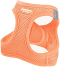 Downtown Pet Supply Pastel Tangerine X-Small Step-In Harness by DowntownPetSupply