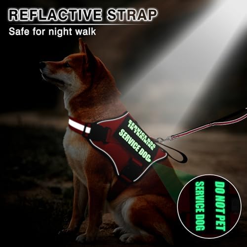 Service Dog Vest Harness and Leash Set+10 Patches, No Pull&Easy Walk Reflective - Image 5