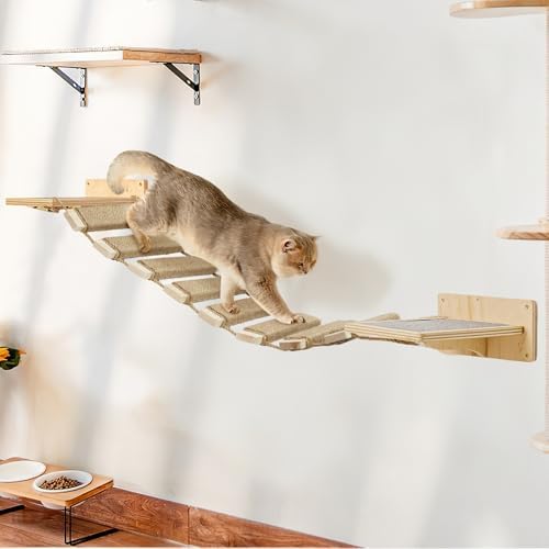 Multi-Functional Cat Ladder & Climbing Frame - Image 3