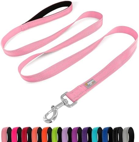 6 FT Basic Dog Leash for Small Dogs by Penseepet
