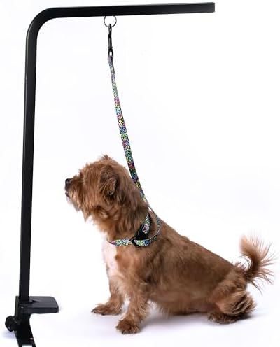 Country Brook Petz - Image 2