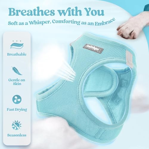 rabbitgoo Dog Harness Small Sized and Leash Set, Step-in Puppy Pet Vest - Image 3