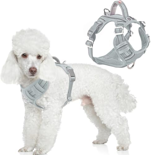 BARKBAY Dog Harness No Pull by BARKBAY