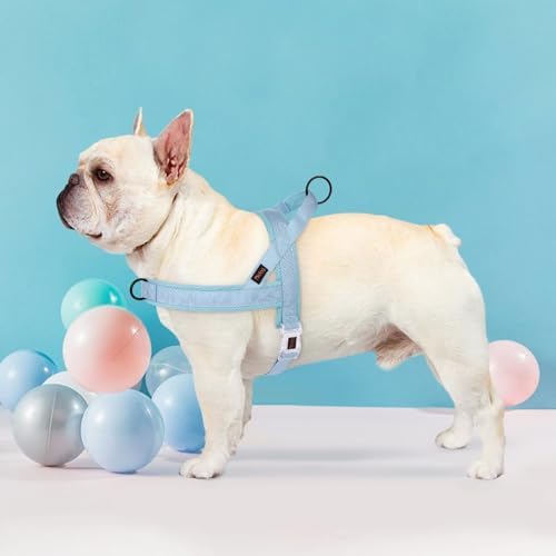 Didog No Pull Dog Harness with Breathable Mesh Padded, Quick Fit & Easy on Dog - Image 2