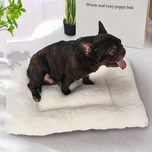 Small Dog Bed for Crate 24 x 18 Ultra Soft Crate Pads for Dog Cages Washable & - Image 2