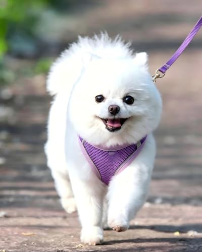 XS Purple Soft Mesh Dog Harness and Leash Set, No Escape Puppy Harnesses - Image 2