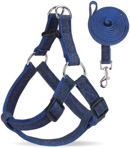 BINGPET No Pull Dog Harness and Leash Set, Adjustable Step-in Vest by BINGPET