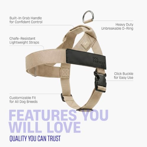 Dog Friendly Co. Dog Harness for Small Dogs - Image 5