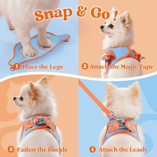 rabbitgoo Dog Harness Small Sized and Leash Set, Step in Soft Vest - Image 2
