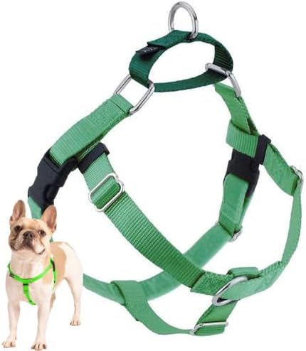 2 Hounds Design Freedom No Pull Dog Harness, 1 inch XL, Neon Green by 2HoundsDesign