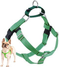 2 Hounds Design Freedom No Pull Dog Harness, 1 inch XL, Neon Green by 2HoundsDesign