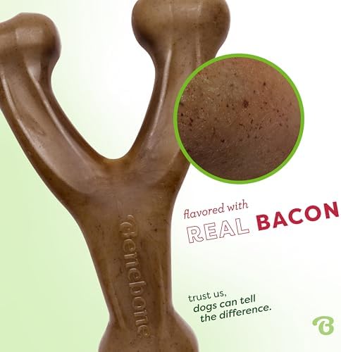Benebone 2-Pack Wishbone Chew Toy - Image 2