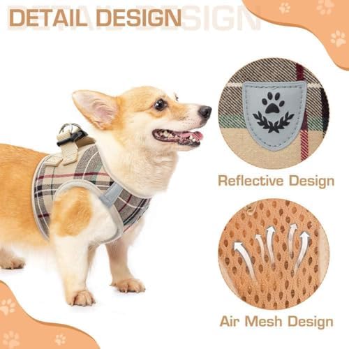 KOOLTAIL Dog Harness and Leash Set - Image 5