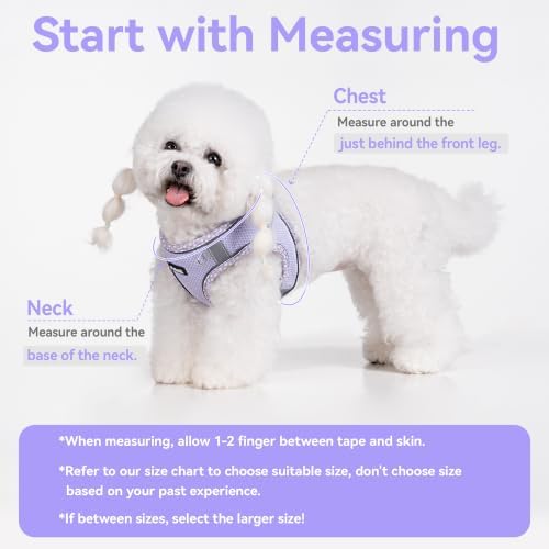 Petank Dog Harness for Small Medium Dogs No Pull, Puppy Harness and Leash Set - Image 4