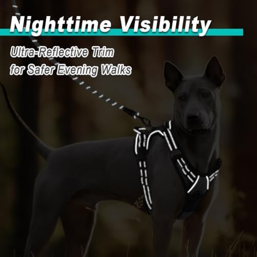 BARKBAY Dog Harness for Medium Sized Dog No Pull 2 Leash Clips Dog Vest - Image 5