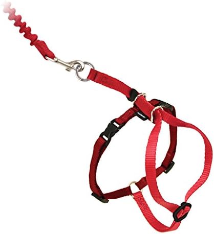 PetSafe Come With Me Kitty Harness and Bungee Leash, Harness - Image 4