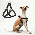 Kruz No Pull Dog Harness Heavy-Duty Pet Harness by KRUZPET
