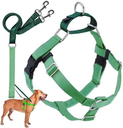 2 Hounds Design Freedom No Pull Dog Harness and Leash, Neon Green by 2HoundsDesign