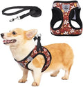 KOOLTAIL Fall Dog Harness and Leash Set by KOOLTAIL