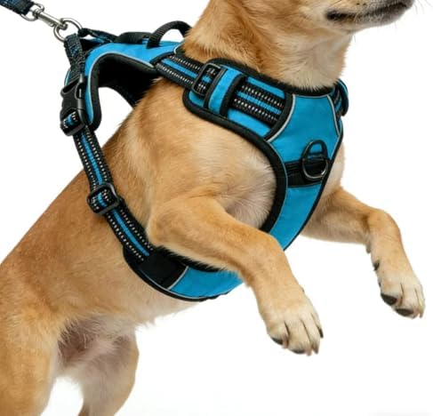 Blue No-Pull Dog Harness with 2 Leash Clips，Soft Padded Vest by Unknown