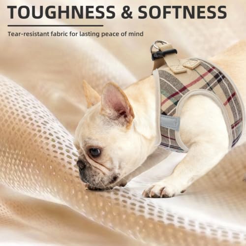 PUPTECK Adjustable Pet Harness Collar &Leash Set Step in - Image 6